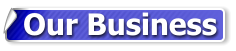 Our Business
